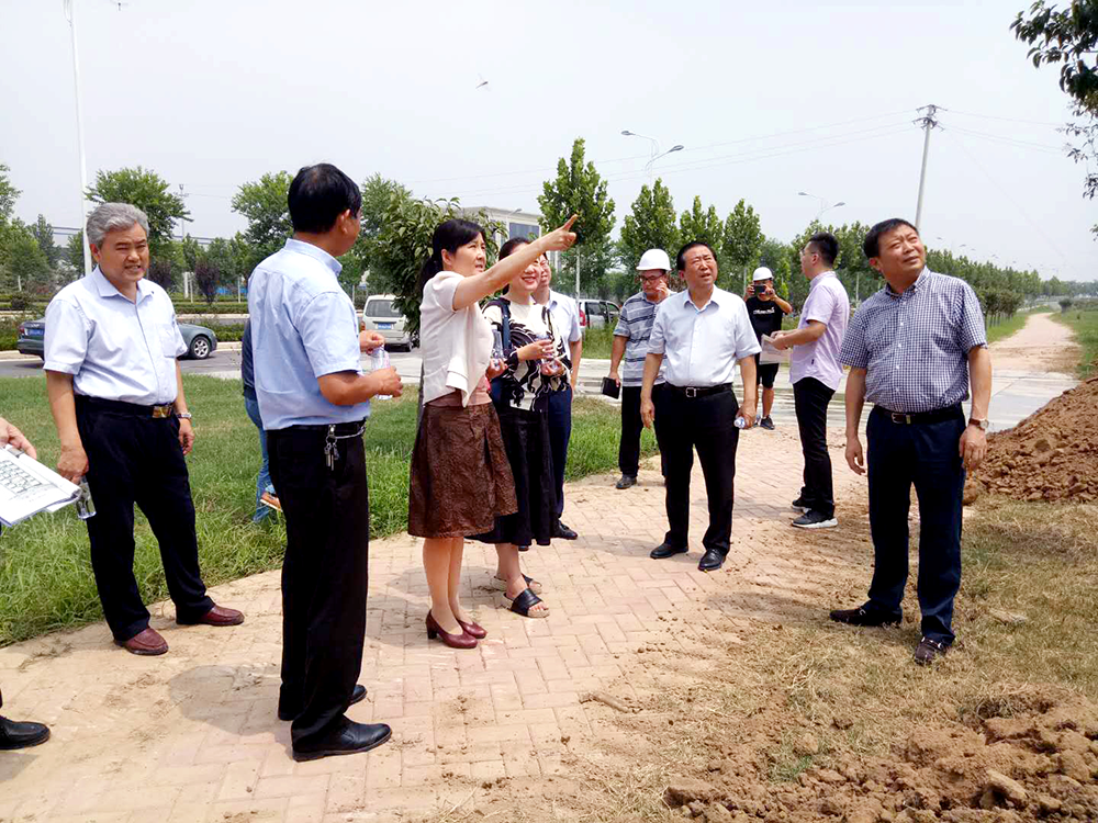 市、區(qū)領(lǐng)導(dǎo)參觀泰投創(chuàng)新生態(tài)社區(qū)科技園項目